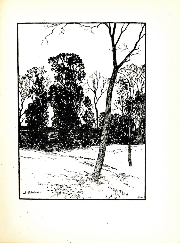 Two barren trees, one ahead of the other, stand in a grassy field. Just behind them are some more trees, each with varying degrees of foliage. The artist’s signature is in the bottom left hand of the corner and the engraver’s mark is in the bottom right hand corner.