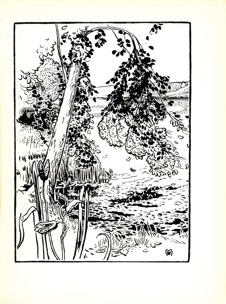 The image is of a tree that is angled towards a large body of water, likely a river. The acutely bent branches of the tree are pictured bending almost 180 degrees downwards. A few leaves are falling towards the ground and the water. The tree is surrounded by tall grass. In the bottom-left corner of the image are plants with bursting seed pods. Land can be seen across the water. The artist’s mark is in the lower-right corner of the image. The image is framed within a thick border. The image is vertically displayed.