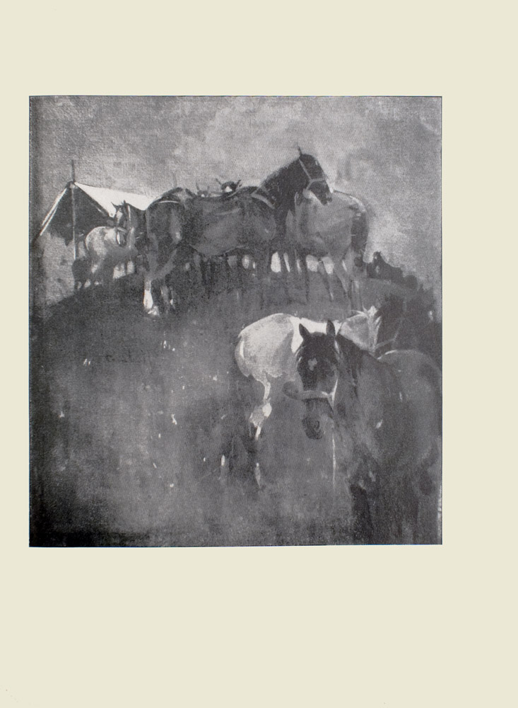 Image is of several partially harnessed horses standing on a hill In the foreground there is a dark coloured horse facing front the rear of a white horse and the head of another horse are visible behind the dark horse There are eight other horses visible to the left of these horses they are congregating at the top of the hill To the left of this group of horses is a white tarp The sky is open and light coloured The image is vertically displayed