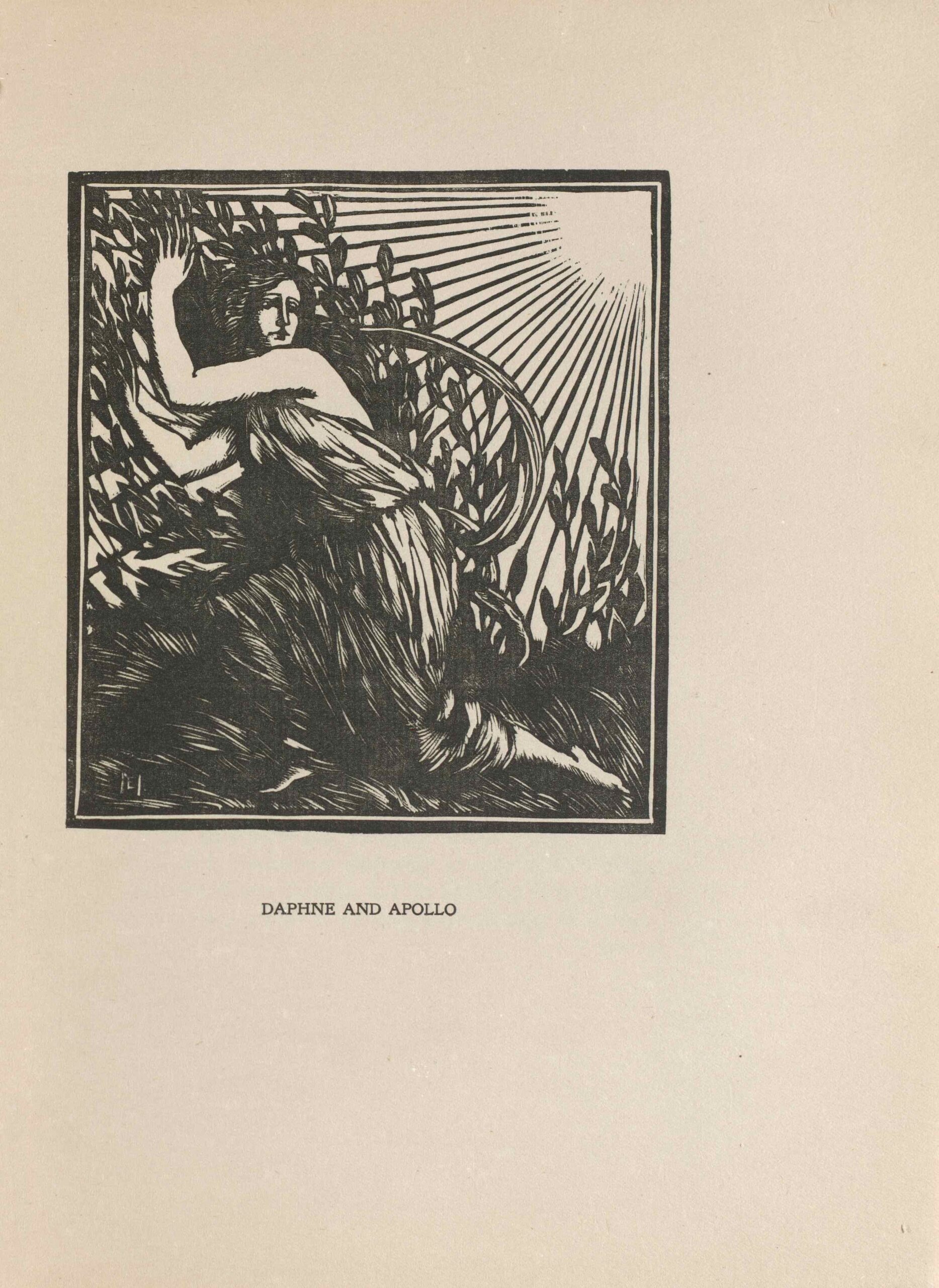 The image is in portrait orientation and is centered on the page within a rectilinear border. The image printed in black. In the foreground, a woman [the nymph, Daphne] is kneeling on a bed of long plants and is looking over her shoulder to the right. Her body remains facing the left. She is next to a field of tall plants and shrubs full of leaves, likely laurel bushes. The woman’s arms and hands are held upwards around her eye-level and are reaching into the field. She is draped in a loose fabric, but her arms, neck, face, and feet are exposed. The sun is represented by a blank, circular space in the top right of the image. Sun rays are shining down onto the field and the woman, evident by the shadow on her face. According to the myth, the sun is the god Apollo.